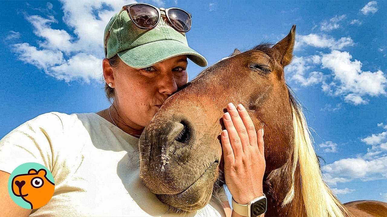 Wild Mustang Demands Kisses Every Day | Cuddle Buddies