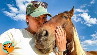 Wild Mustang Demands Kisses Every Day | Cuddle Buddies