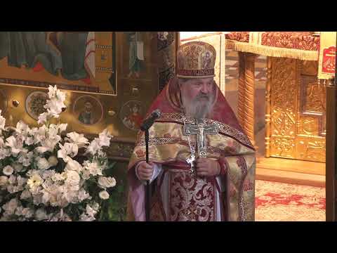 Go and Preach... Sunday Sermon by Archpriest Andrei Lemeshonok. September 6, 2026.