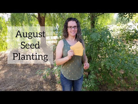 August Seed Planting