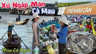 Đẹp lạ: CHỢ NĂM CĂN Cà Mau - Xứ Rừng Ngập Mặn Vào Mùa Cá Ngát