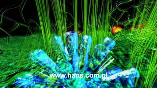 Vj HAOS Free Your Mind 011 hd.avi