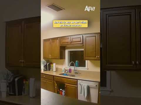 Why you should never climb on kitchen counters #fail #funny #kitchenfail
