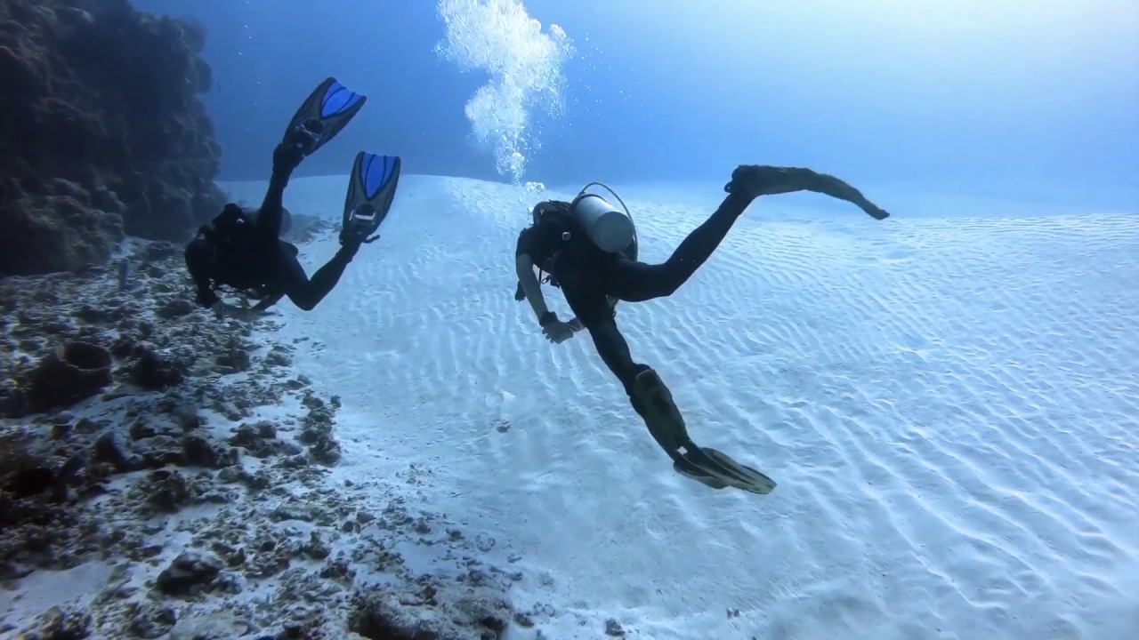 Scuba Diving in Cozumel, Mexico YouTube
