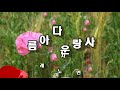 이자연 아름다운 사랑