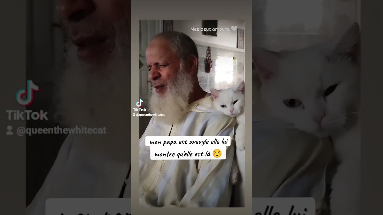 My cat communicates with my Dad ( he is blind ) and she showed him love ❤️