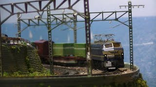 Nゲージ鉄道模型　EF66_コキ50000系貨物列車 5
