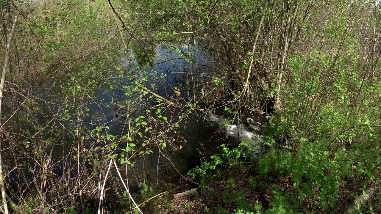 GoPro Hero 8 4K Video in Protune Flat and Native + Binaural Audio: Water Treatment Area