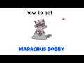 How to get mapachus bobby in find the bobbys