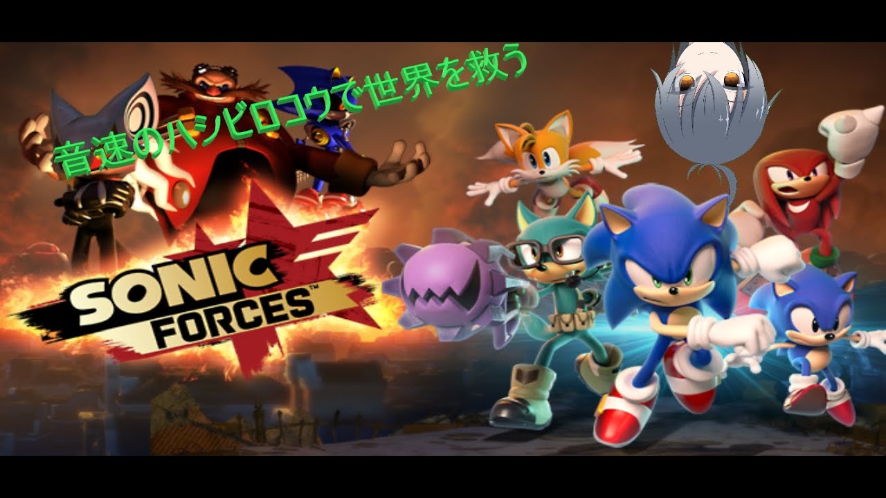 ソニックフォース 音速で走るハシビロコウ Youtube