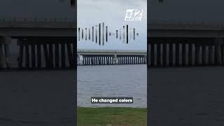 Unidentified man's body found along Sebastian shoreline, investigation underway