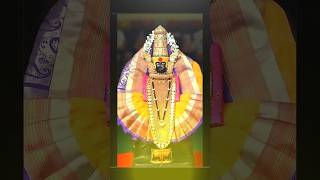 aai tulja bhavani #tuljabhavani #tuljapur
