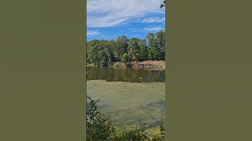 How To Play Guitar...(fet)Steve Howe...Yes