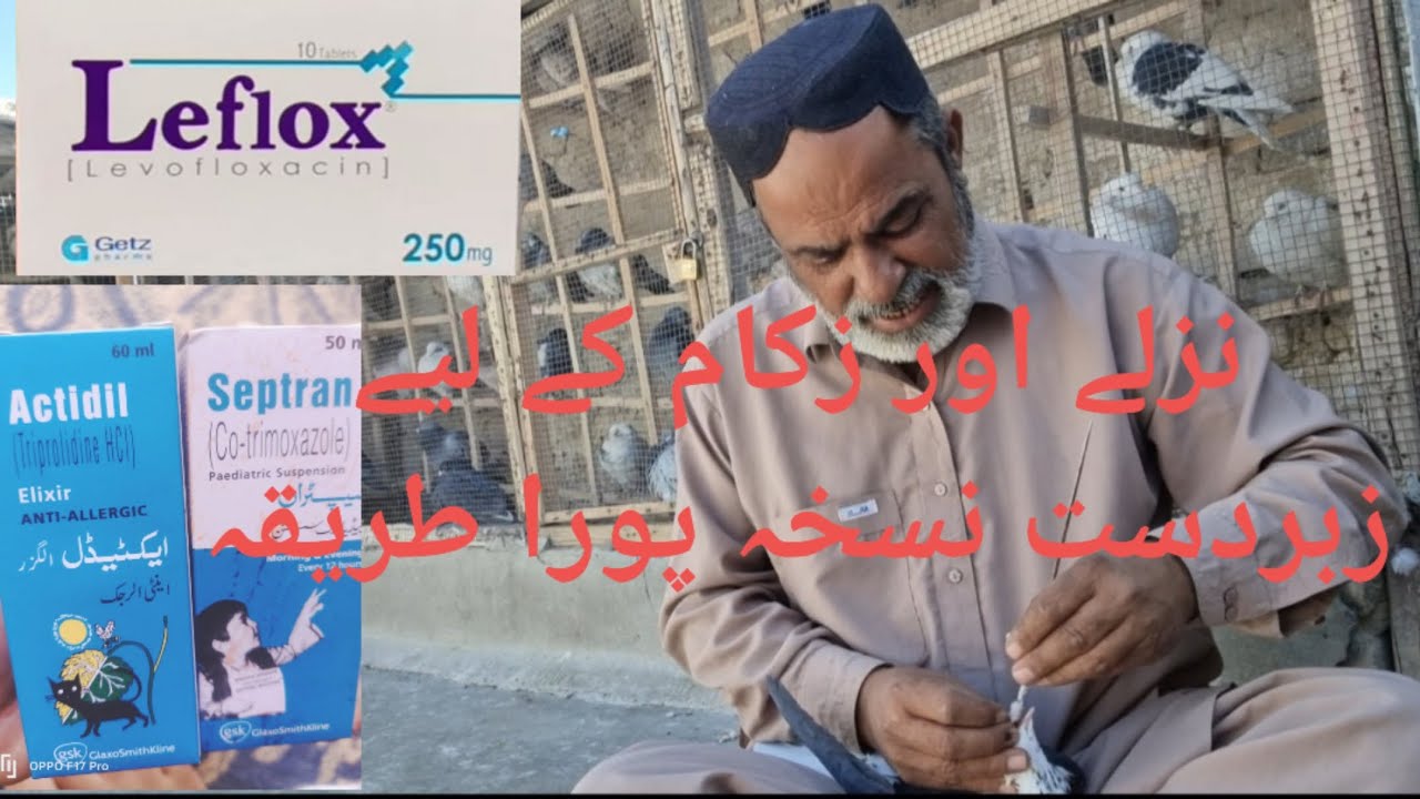 Nazla aur zukam k Liya zabardast nuskha