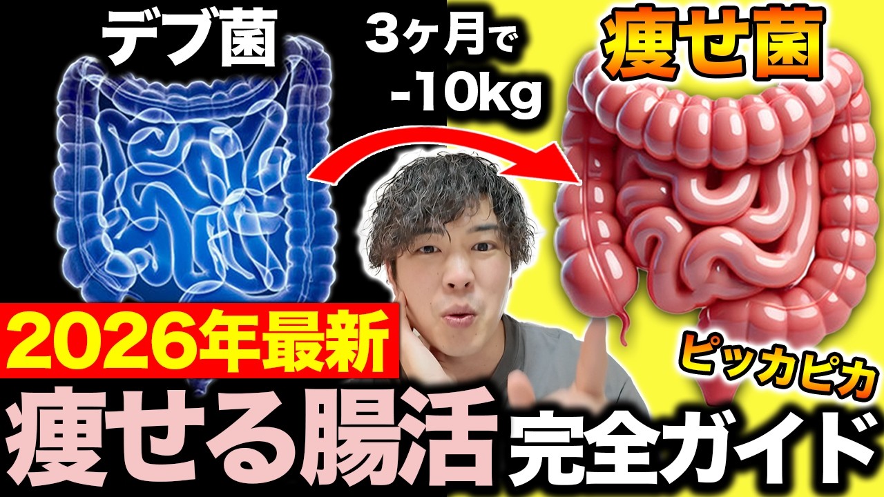 【3ヶ月−10kg】9の手順で「ガチで痩せる腸内環境」を作る方法。【2026年最新版】