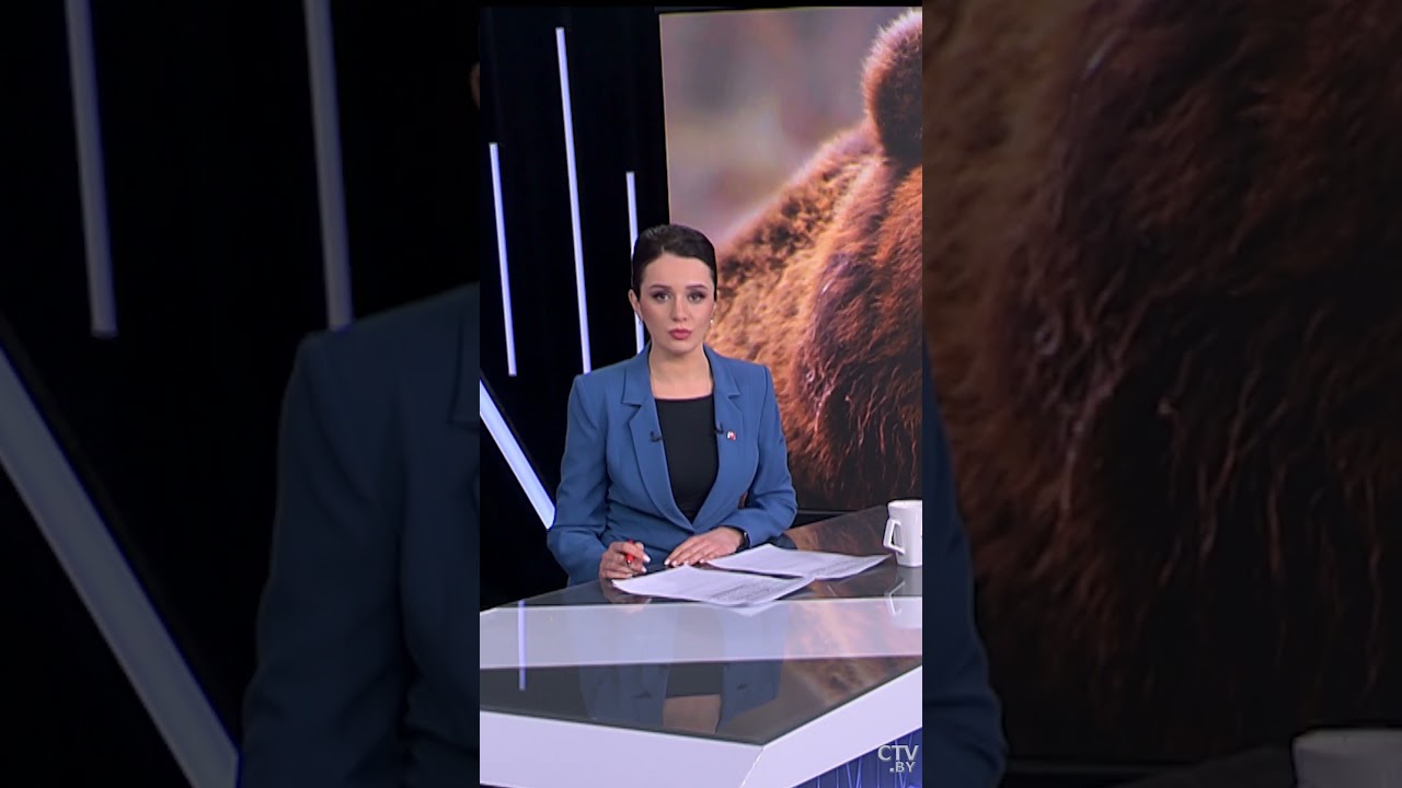 Его называют ГЛАВНЫМ СИНОПТИКОМ! Медведь Фёдор проснулся в Могилёве! 