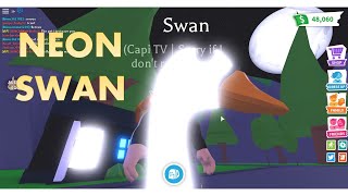 MAKING NEON SWAN | ADOPT ME | ROBLOX
