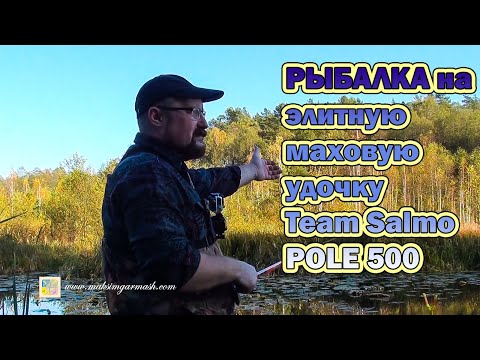 Рыбалка на элитную маховую удочку Team Salmo POLE 500. Первые впечатления