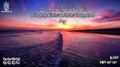 جميع تلاوات القارئ الفلسطيني نور ابو داود صاحب الحنجرة الذهبية 💚 اسمع بقلبك HD