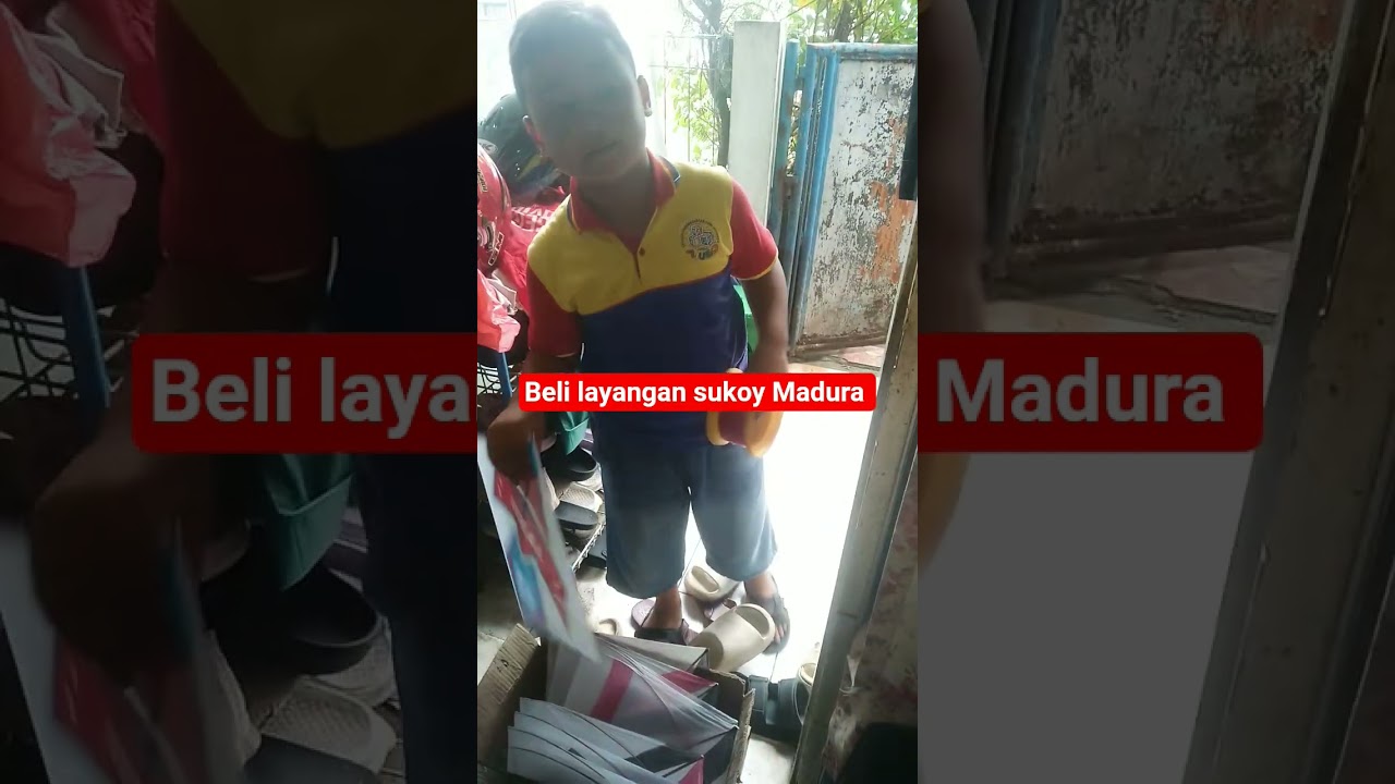 beli layangan sukoy Madura #layangan
