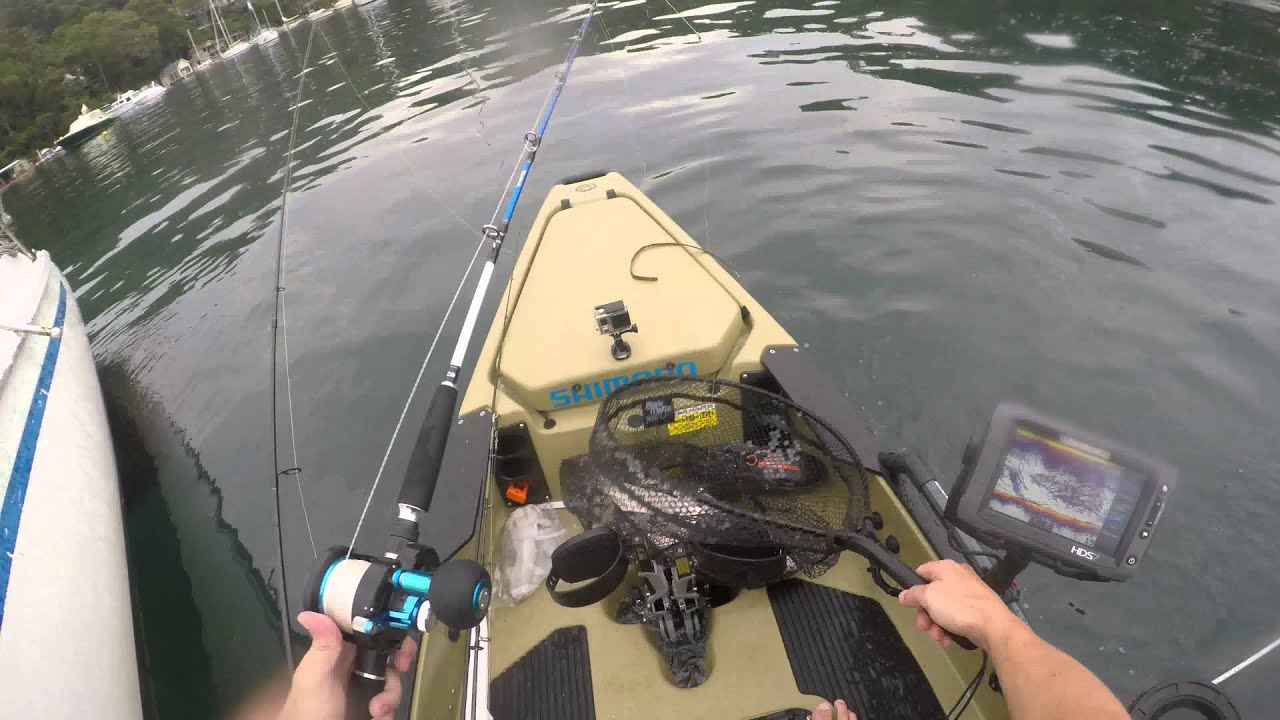 Kingies Pittwater 8 March