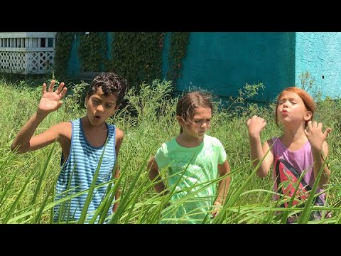 Video Cuộc Sống Đầy Rẫy Khó Khăn và Áp Lực Nhưng May Mắn... - youtube