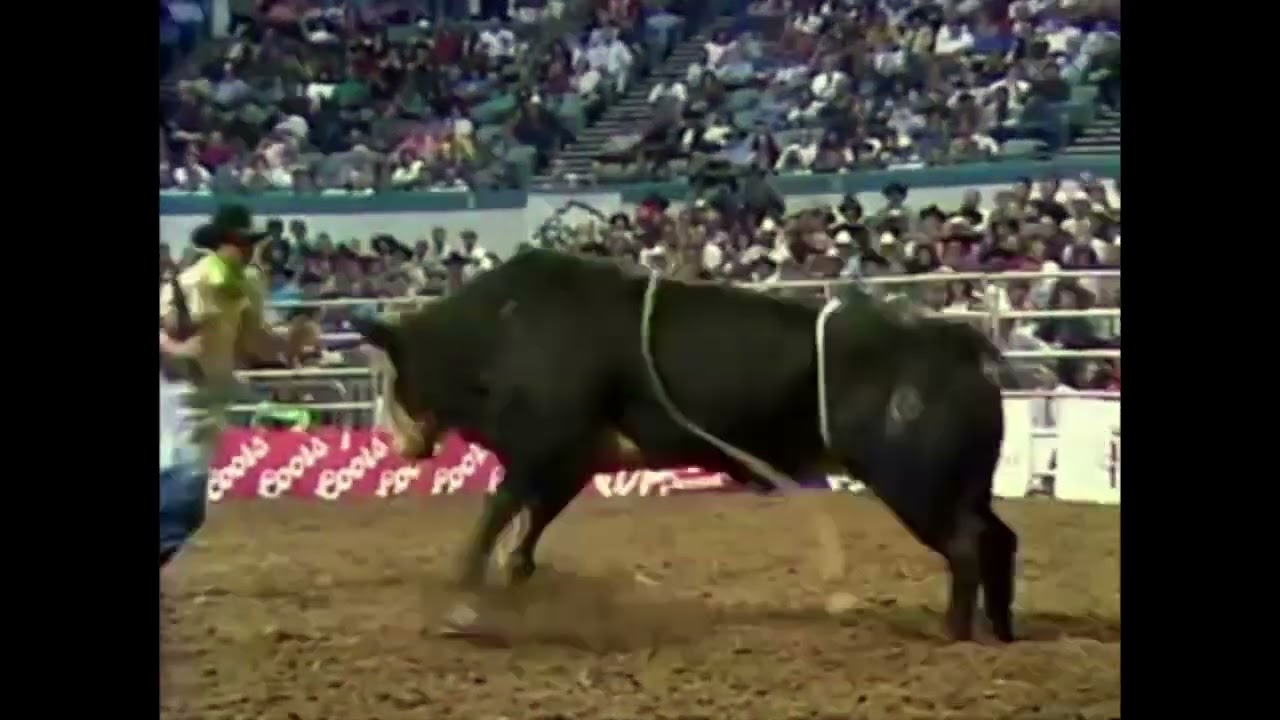 Aaron Semas - 91 BRO Championship (87 pts)