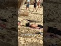 NEW Animal Videos To Make You Laugh!