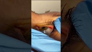 18 de febrero de 2026