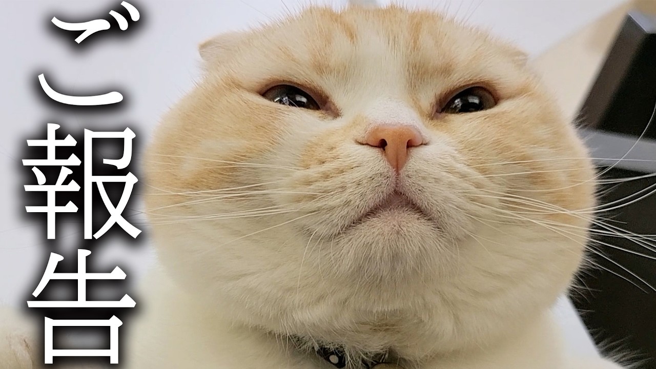 突然病院から重要なお知らせが...