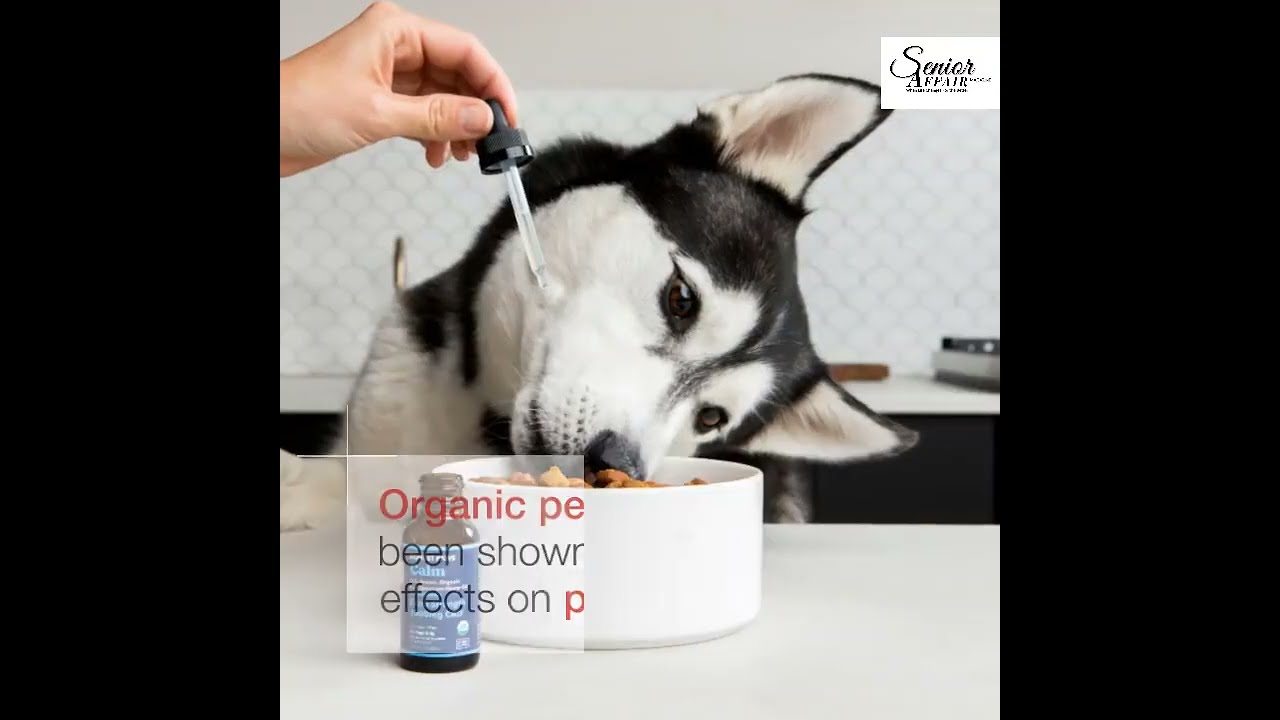 Pawsitively Well: The Benefits of Organic Pet CBD Oil for Your Furry Friends
