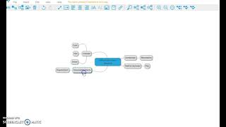 Mindmup Example Video