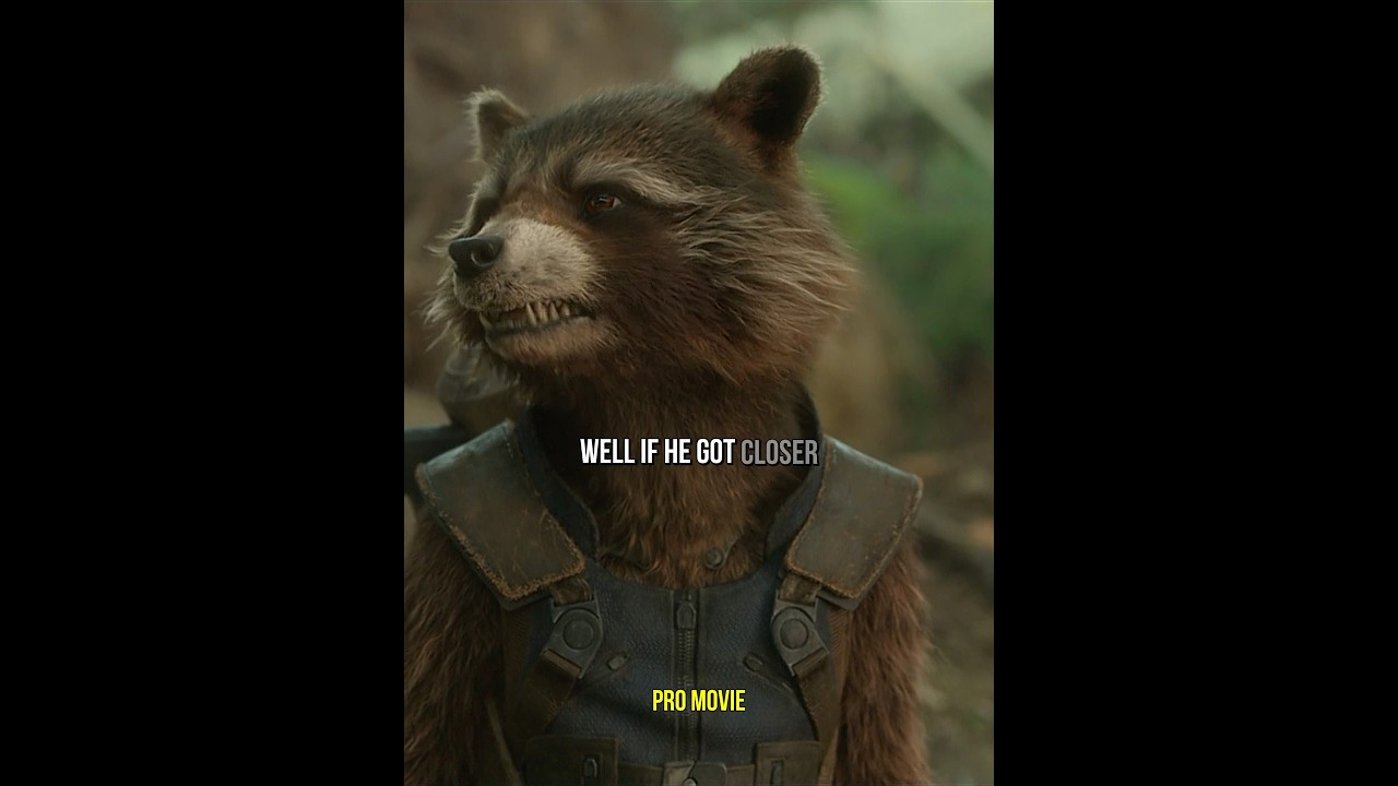 Trash panda | Guardians of the Galaxy Vol. 2 