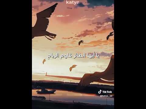 ياايها الطائر قاوم الرياح