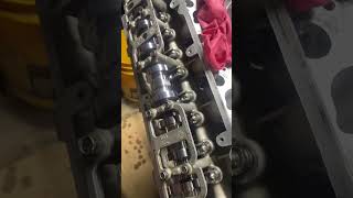Forged 4.6 2v engine almost done! #New Edge #4.6 #fordperformance #fordmustang #supercharged#mhs