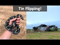 Exploring Abandoned Buildings to Find King Snakes! ft. NKFherping