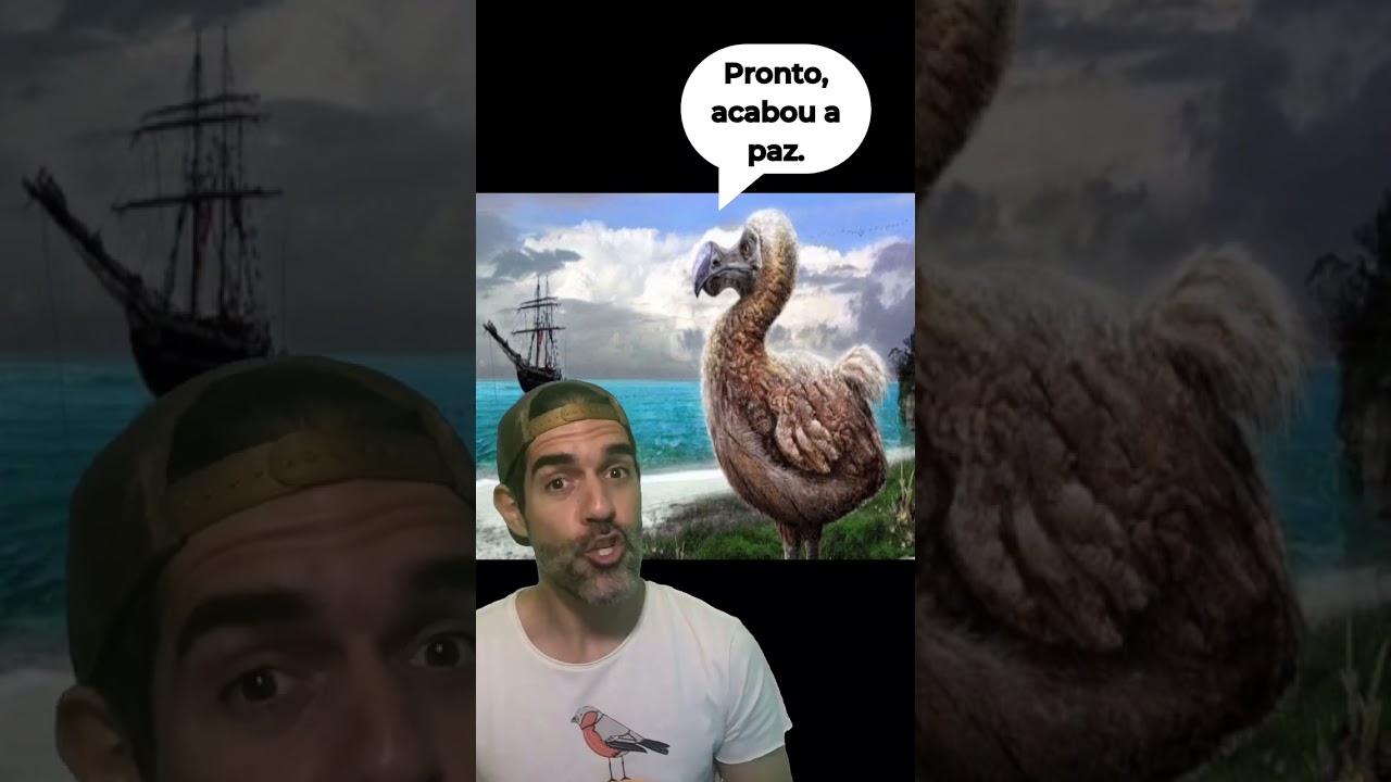 A PRIMEIRA ave EXTINTA pelo ser humano na Terra | pidobiologia 