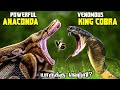 King Cobra vs Green Anaconda in Tamil | ராஜநாகம் vs அனகோண்டா | Savage Empire