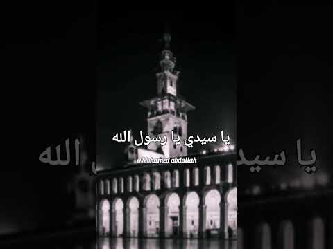 الصلاة والسلام عليك يا رسول الله ابتهال الفجر