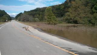 Highway 131 flooding near Richland / Vernon County line in SW Wisconsin