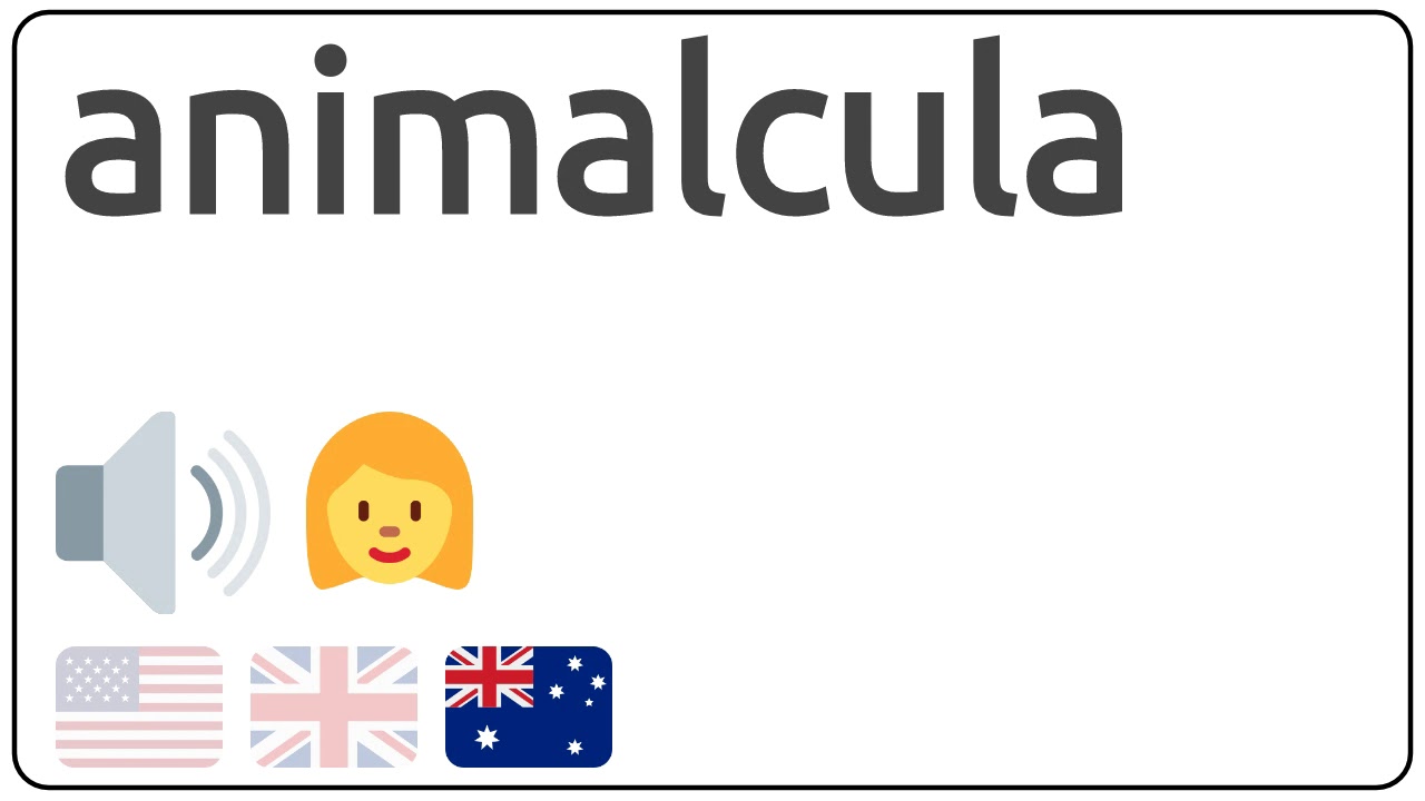 How to pronounce animalcula in english?