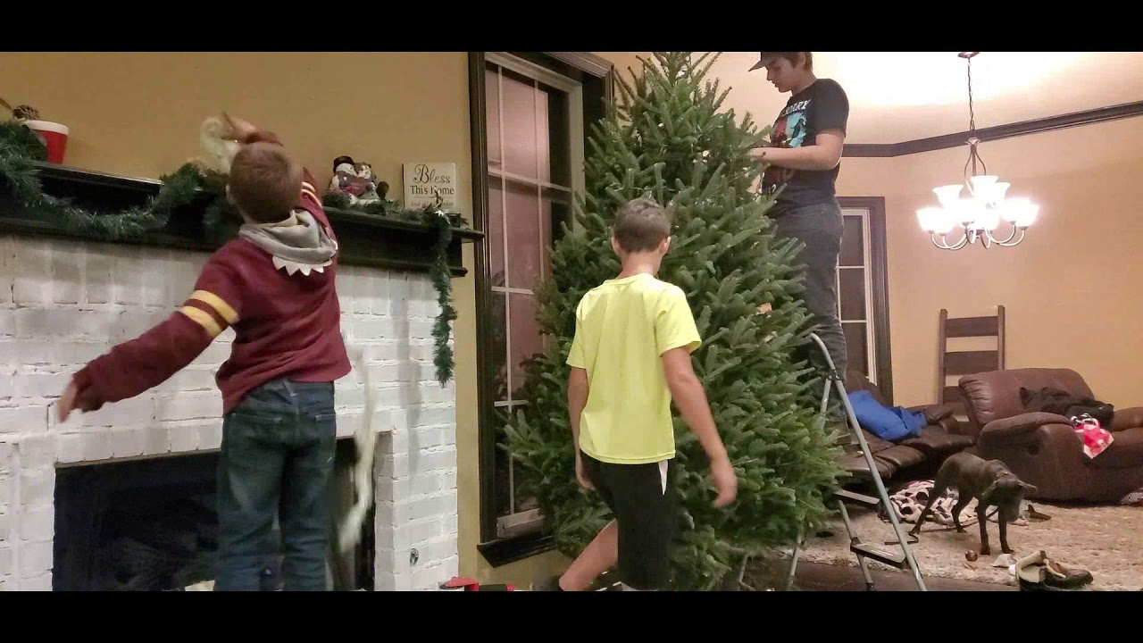 Finding our Christmas Tree - YouTube