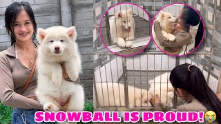 New Member Of The Pack! WELCOME HOME SNOWHITE! | Husky Pack TV