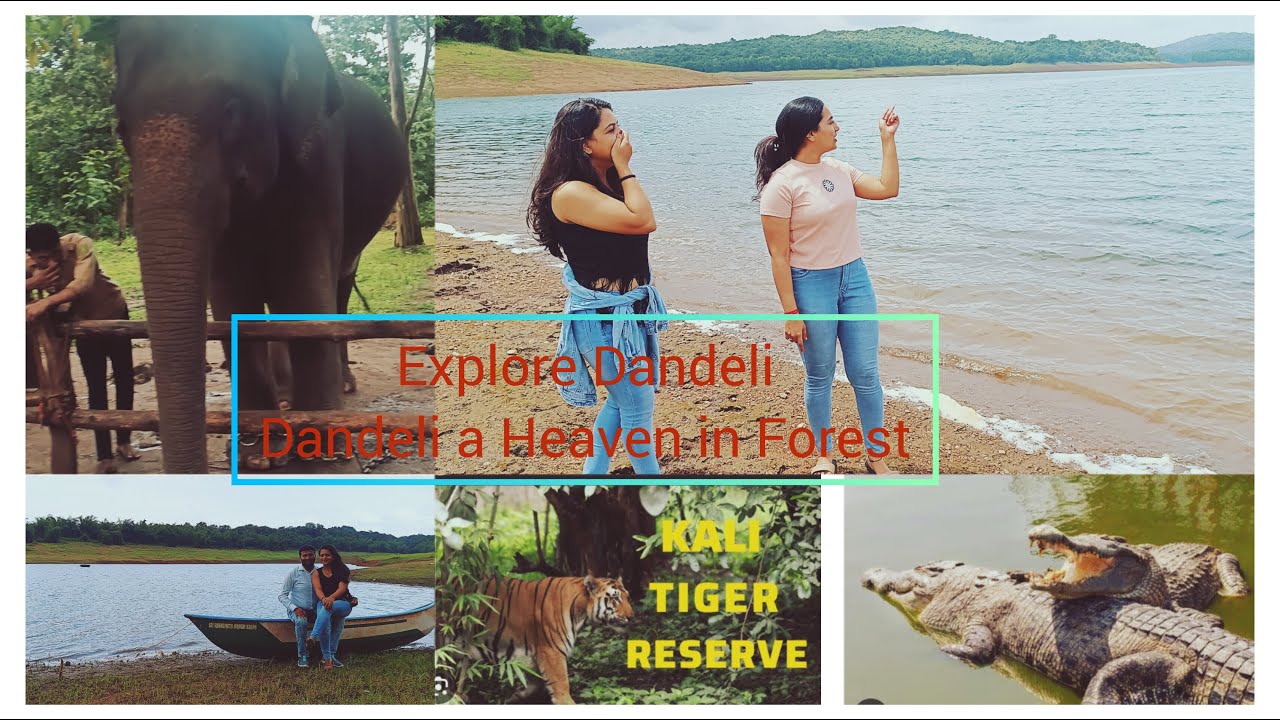 dandeli-crocodile-park-kali-tiger-reserve