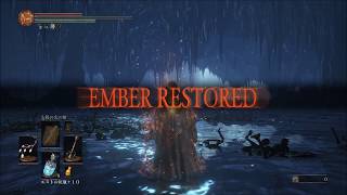 ダークソウル3 Dlc1 Dlc2 純聖プレイ 日曜研究室