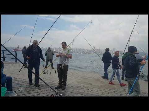 Video: Mayıs'ta Balık Tutma - Mayıs'ta Balık Tutma