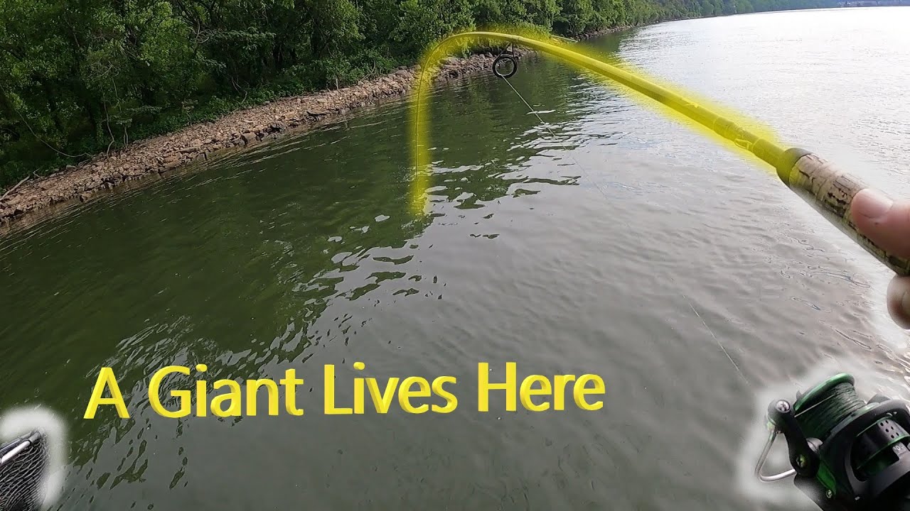 Tennessee River Bass Fishing @Nickajack Lake/ finesse fishing for Winning Tournaments - YouTube