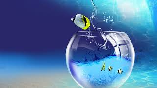 MELTEM CUMBUL SENİNLEYİM