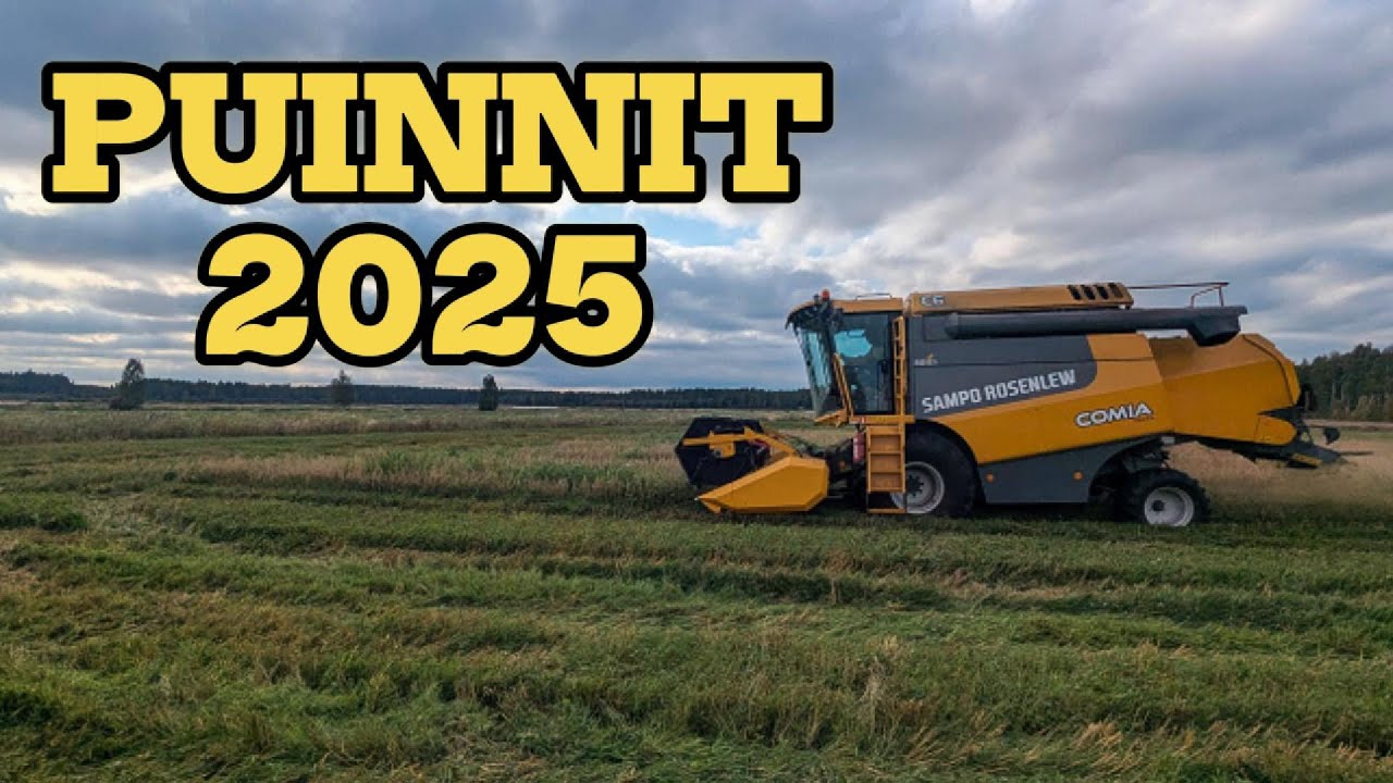 Puinnit 2025