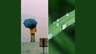 Subdued (Cold Winter)